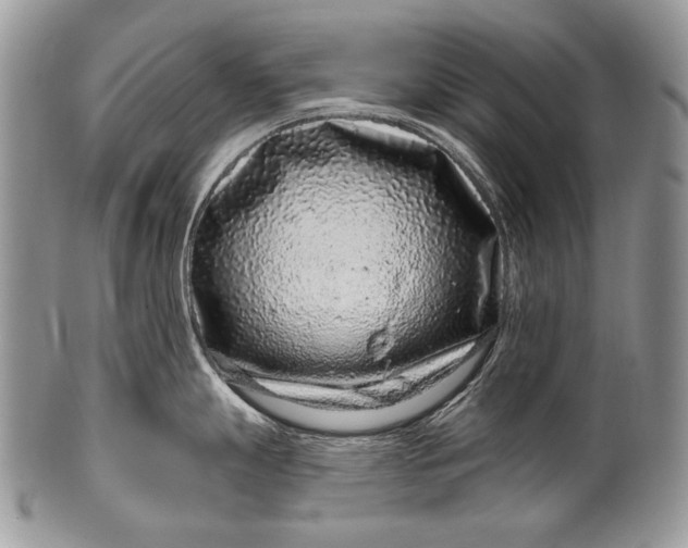 X0000100391247200806201706