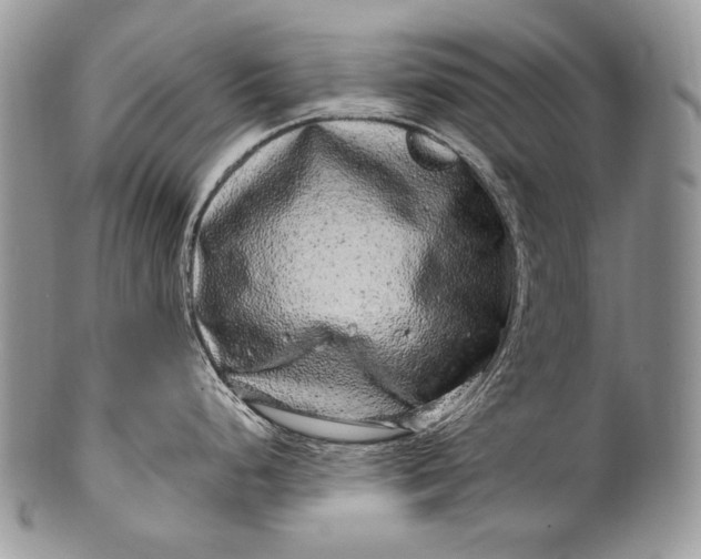 X0000100391248200806201706