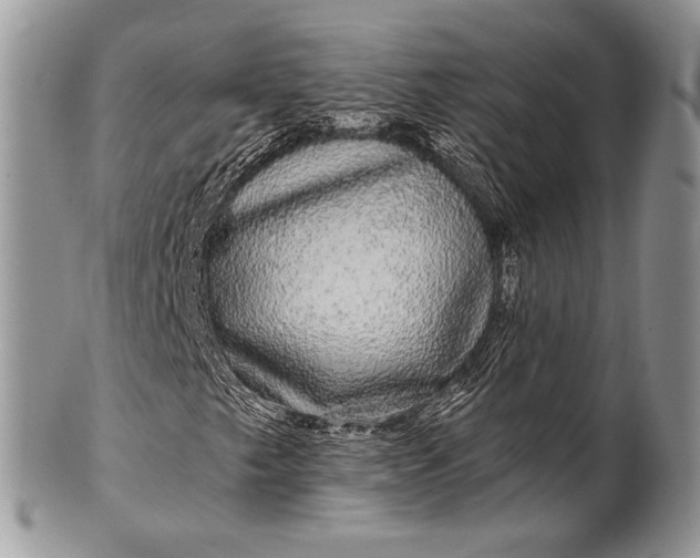 X0000100391249200806201705