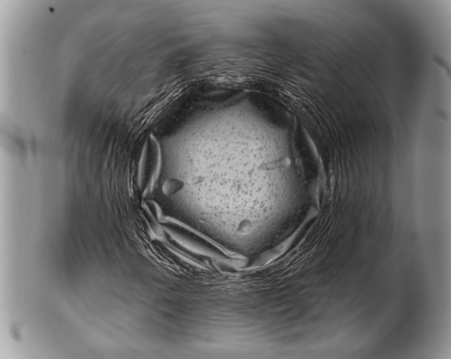 X0000100391250200806201705