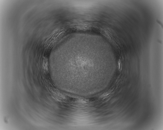 X0000100391251200806201705