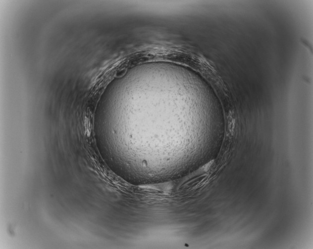 X0000100391253200806201705