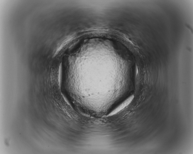 X0000100391255200806201705