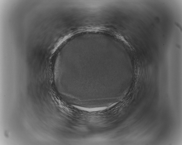 X0000100391256200806201705