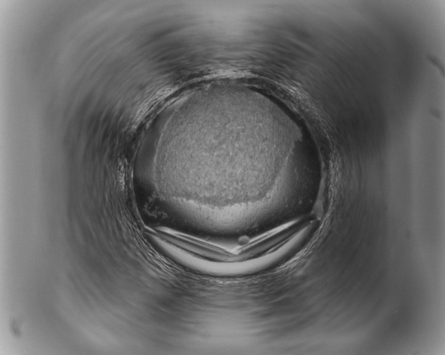 X0000100391257200806201705