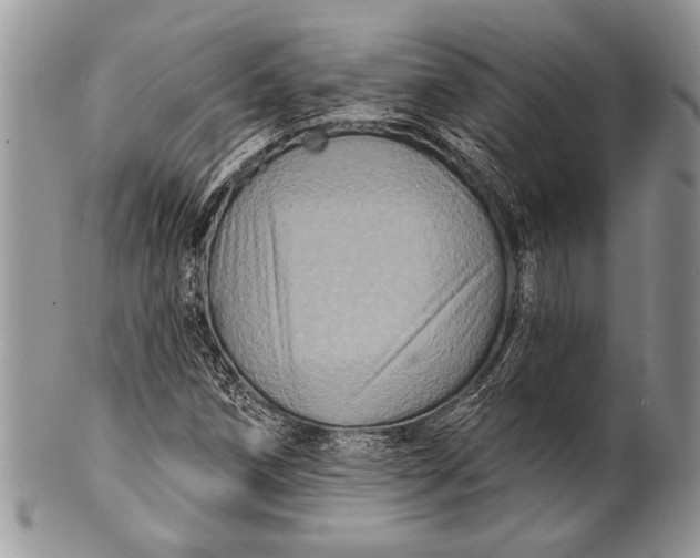 X0000100391258200806201705