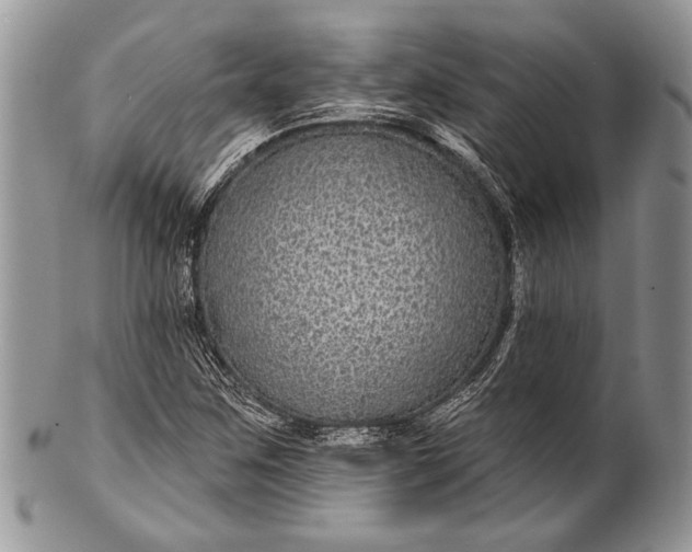 X0000100391259200806201705