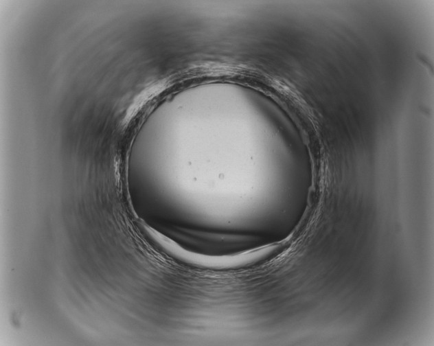 X0000100391261200806201705