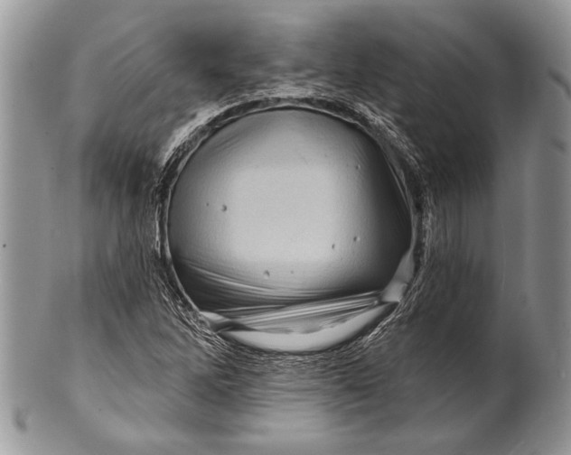 X0000100391262200806201705