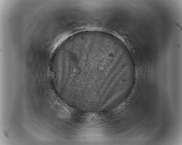 X0000100391263200806201705