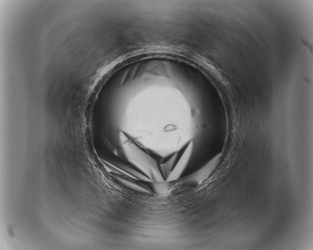 X0000100391264200806201705