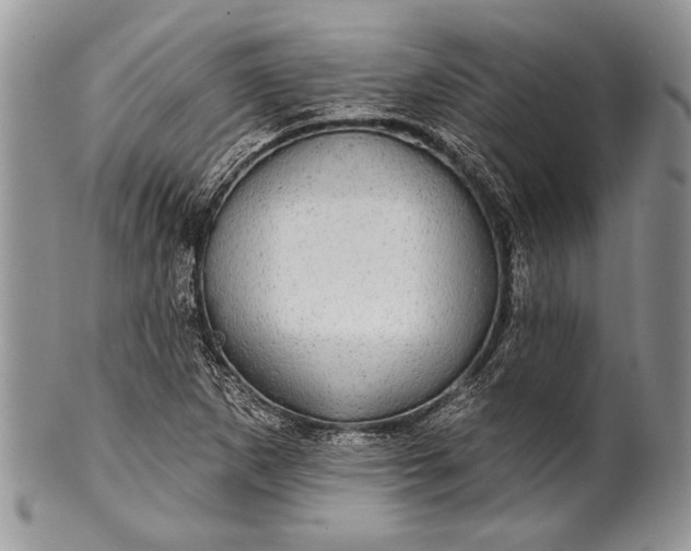 X0000100391265200806201705