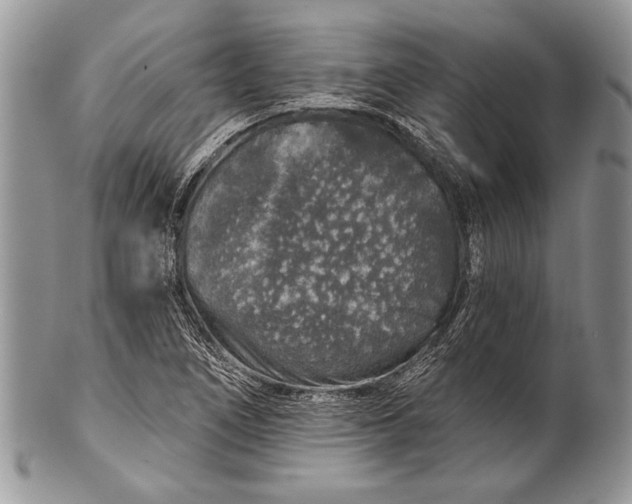 X0000100391266200806201705