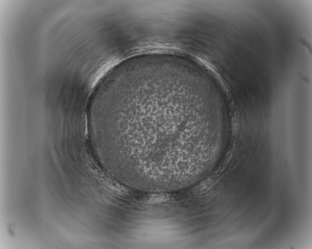 X0000100391267200806201705