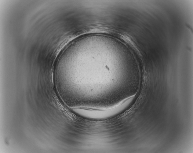 X0000100391268200806201705