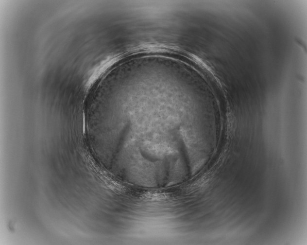 X0000100391269200806201705