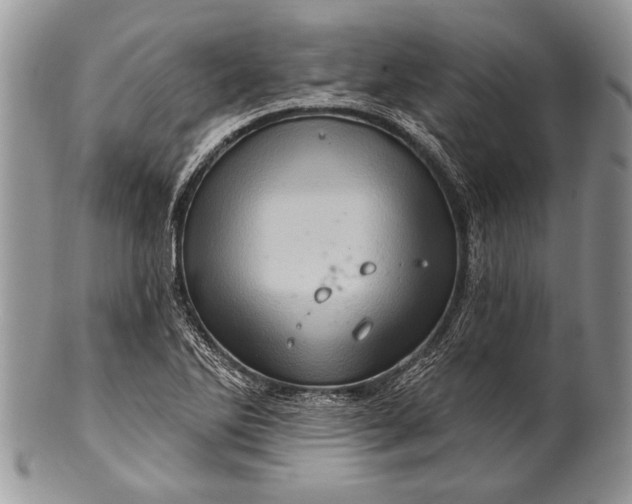 X0000100391270200806201705