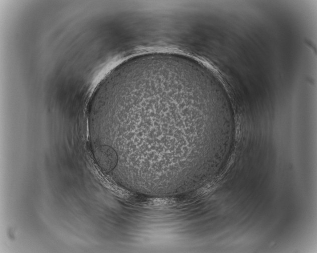 X0000100391271200806201705