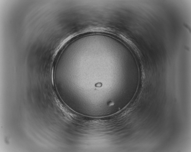 X0000100391272200806201705