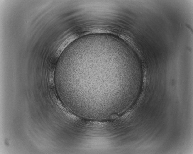 X0000100391273200806201705