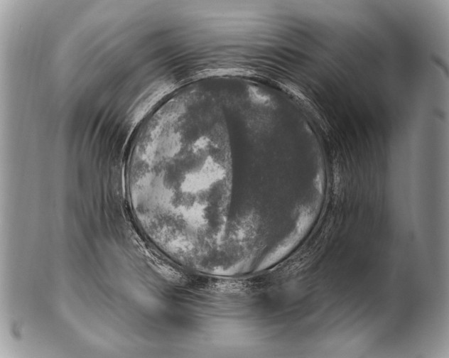 X0000100391274200806201705