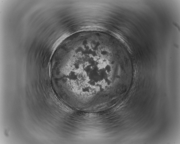 X0000100391275200806201705