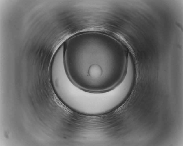 X0000100391276200806201705