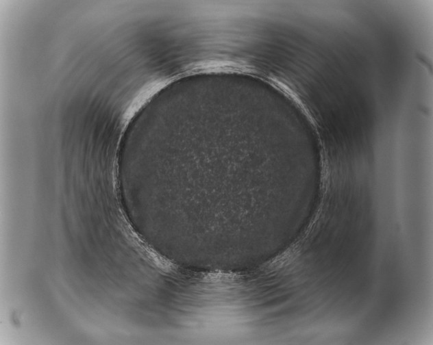 X0000100391277200806201705