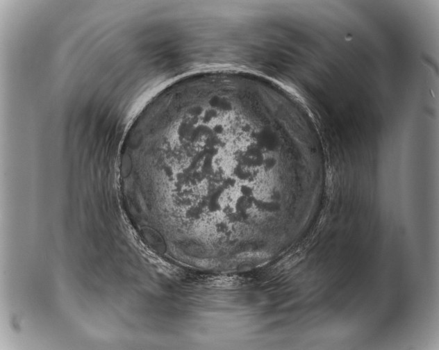 X0000100391279200806201705