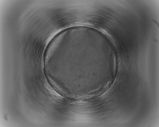 X0000100391280200806201705