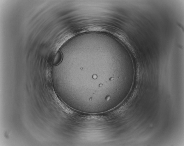 X0000100391281200806201705