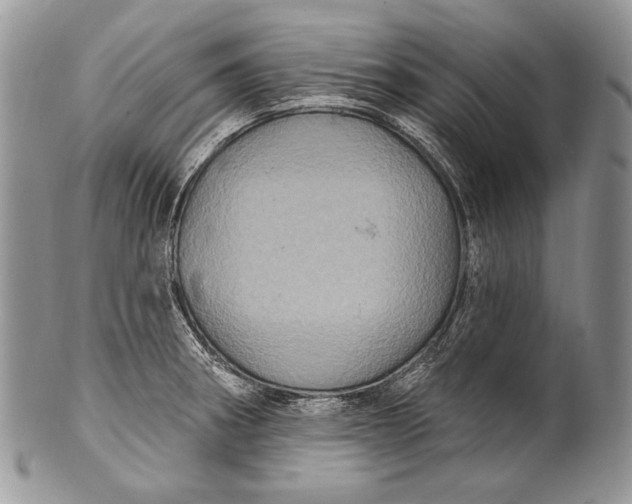 X0000100391282200806201705