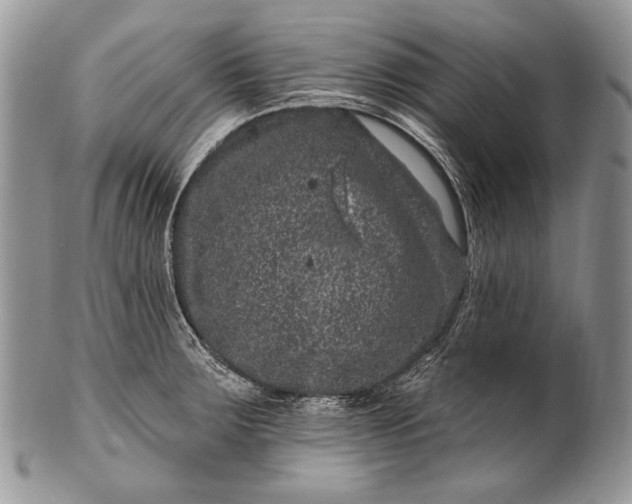 X0000100391283200806201705