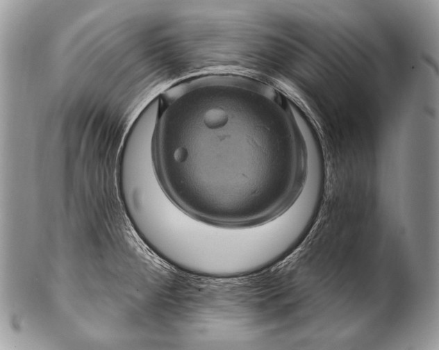 X0000100391284200806201705