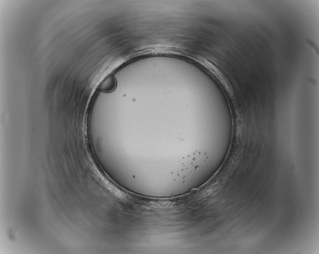 X0000100391285200806201705