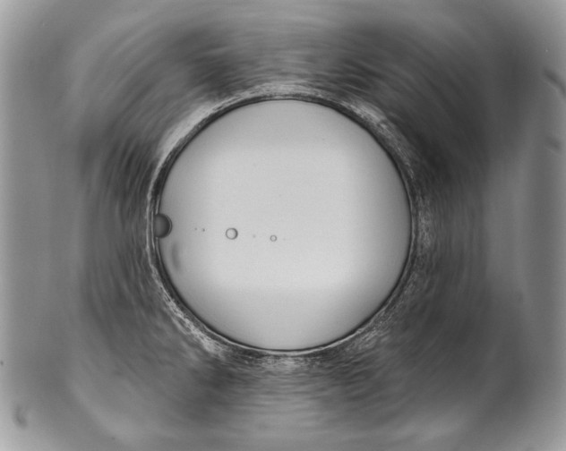 X0000100391286200806201705