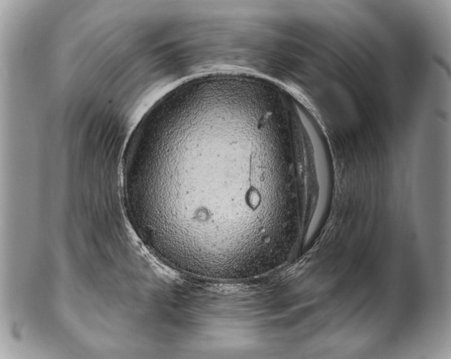 X0000100391287200806201705