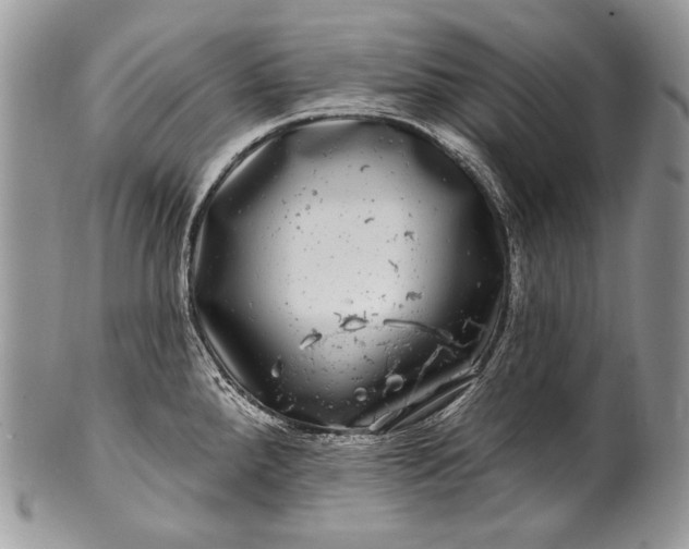 X0000100391288200806201705