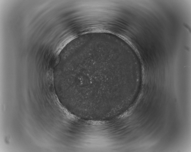 X0000100391289200806201705