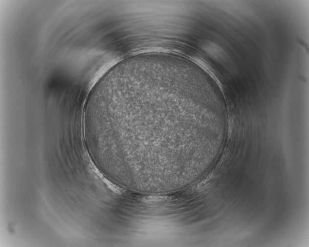 X0000100391290200806201705