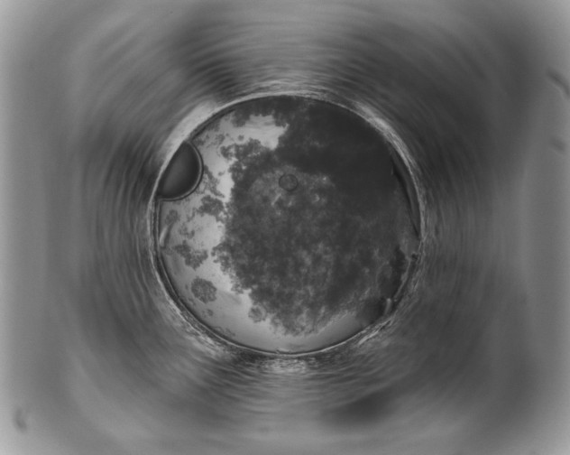 X0000100391291200806201705