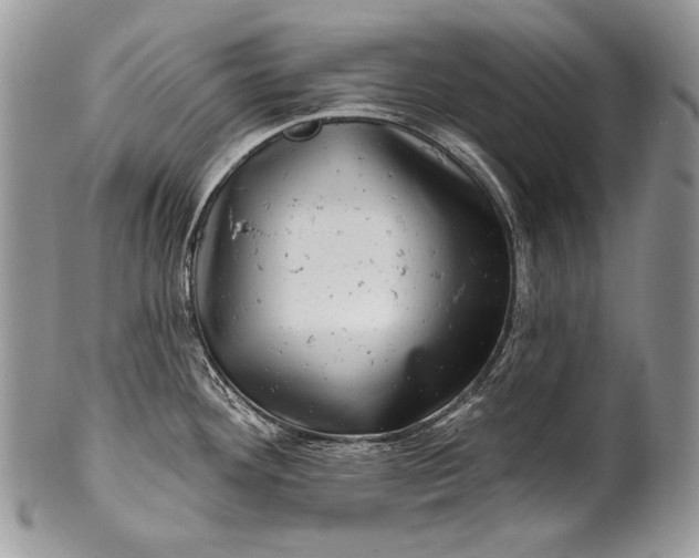 X0000100391292200806201705