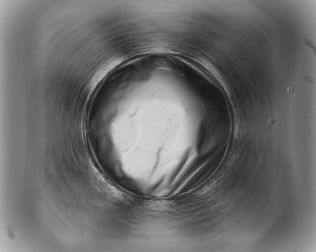 X0000100391293200806201705