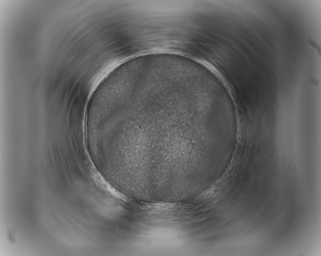 X0000100391294200806201705