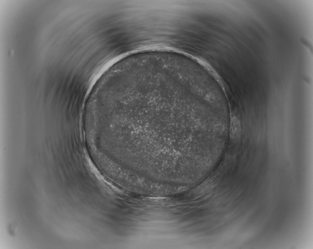 X0000100391295200806201705