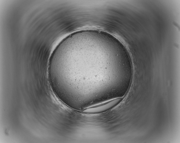 X0000100391296200806201705