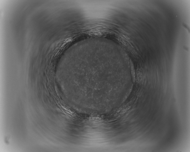 X0000100391297200806201704