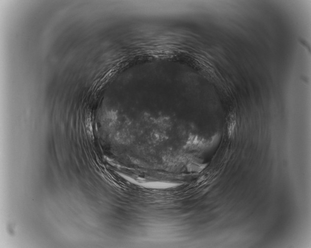 X0000100391298200806201704