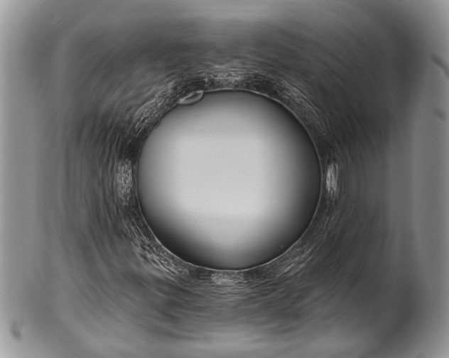 X0000100391299200806201704