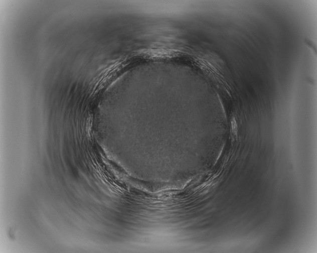 X0000100391300200806201704